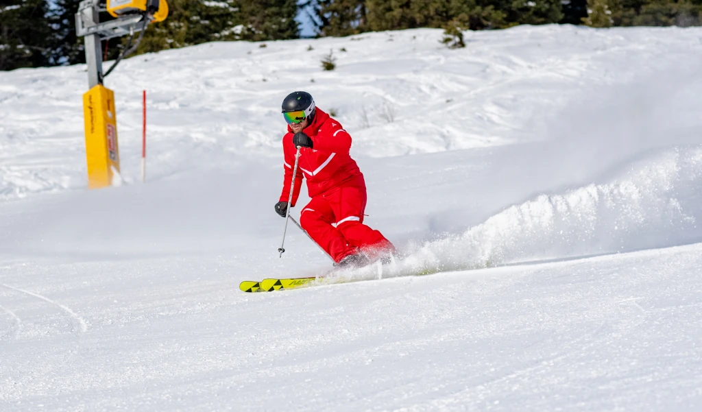we_live_for_skiing